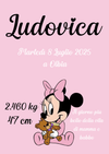 Quadretto Nascita Personalizzato, Cornice con Dati del Bambino, Stampa per Cameretta Bambini